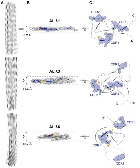 Hemato | Special Issue : Advances in Amyloidosis: A Theme Issue in ...