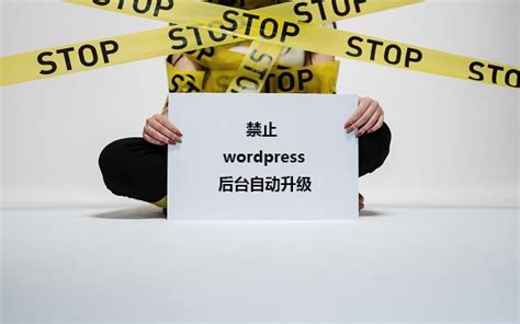 WordPress--关闭主题和插件的自动更新