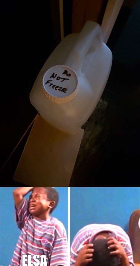 Do Not Freeze Elsa - Imgflip
