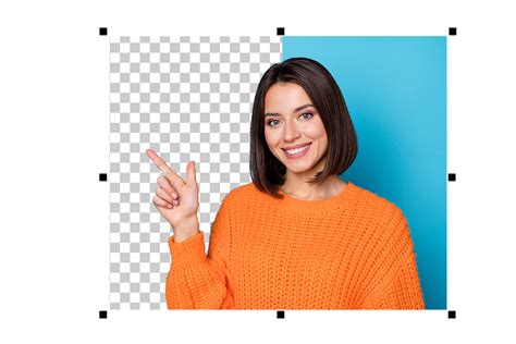 Image result for Remove Background in Corel