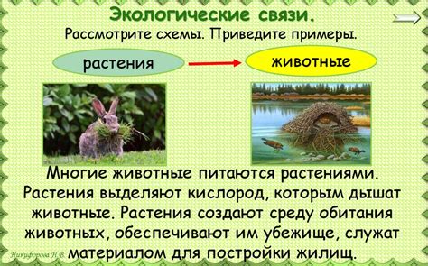 Что такое экология (3 класс) - online presentation