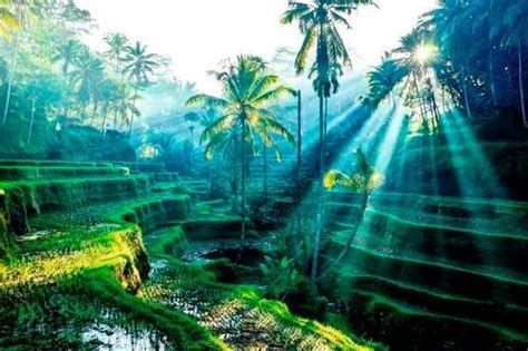 Hidden Gems In Maharashtra: क्या आपने महाराष्ट्र की इस खूबसूरत जगह का ...