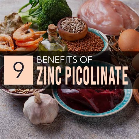 Zinc Picolinate Glycinate at Mia Fortune blog