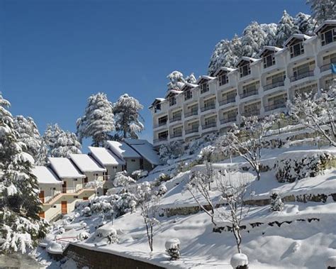 HOTEL GREEN TOP (Patnitop, Jammu) - Hotel Reviews, Photos, Rate ...