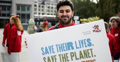 FOUR PAWS Warns of Inaction Taken by Governments Regarding Climate ...