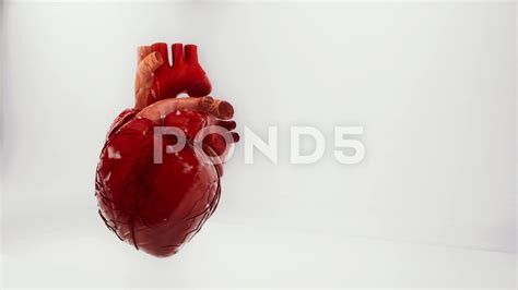Heart Beating Fast