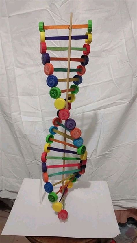 Image result for DNA Models Made Easy