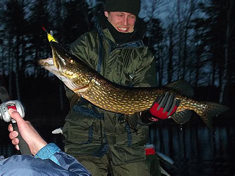 Image result for Angelkoder Schweden Hecht