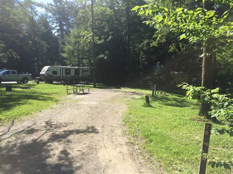 Cook Forest State Park | Campground Views
