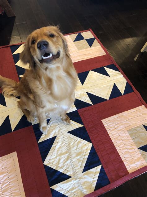 Dogs on Patchwork & Poodles Quilts! - Patchwork and Poodles