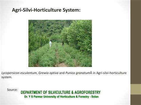 Agroforestry Systems 的图像结果