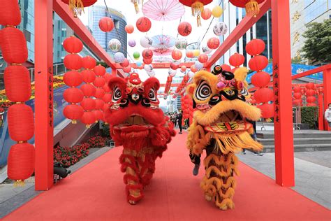 舞狮表演是中华文化的珍贵遗产_传承_中国_传统