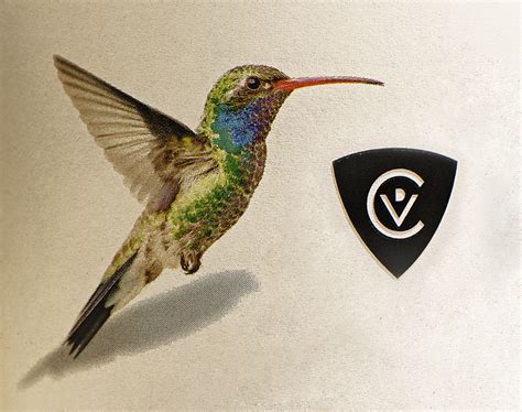 VIE DEL CANTO - Locanda Design