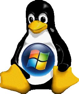Image result for How to Install Linux and Windows in Same Computer