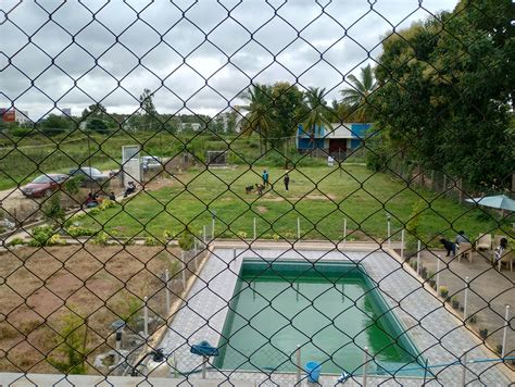 thePack.in Reviews: Klever K9, Sarjapur | Dog Boarding in Bangalore