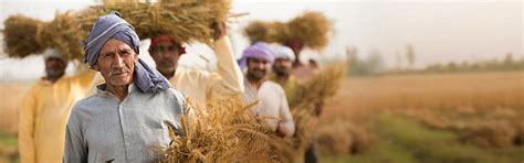 StarBazaar Best Grocery Home Delivery Supermarket in Hyderabad – Star ...