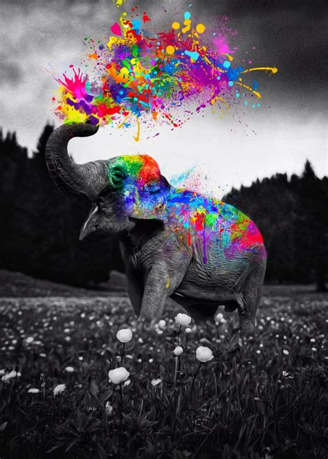 Image result for Color Splash Photography