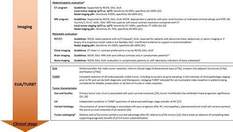 Bladder Cancer Staging