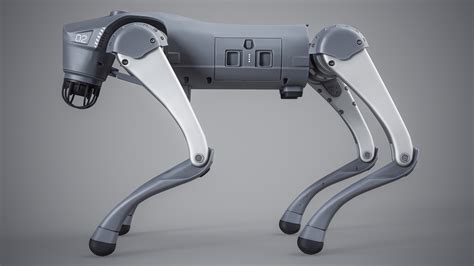 Robot Dog 的图像结果