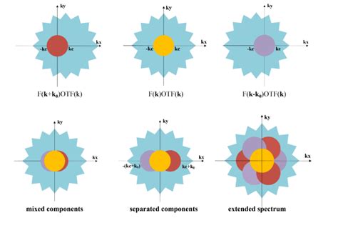 Structured Illumination Microscopy