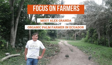 Focus on Farmers - Alex Granada - Palm Done Right