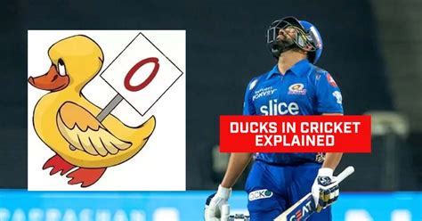 duck meaning in cricket Android IOS V- 9.95