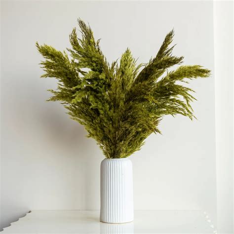 Grass Green Pampas (10 Sticks) – Flowers and Fillers