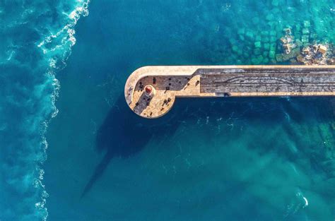 Graph of the Week - What can investors expect from Q2 earnings?