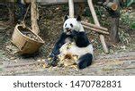 Image result for SJF Scheduling Algorithm Example