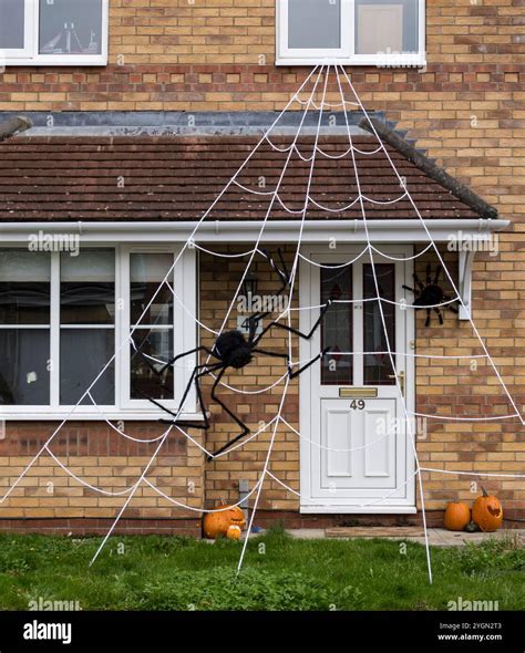 Big black spider on web Stock Photo - Alamy