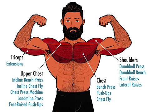 The 5 Best Upper Chest Exercises (Dumbbell, Barbell & Machine)