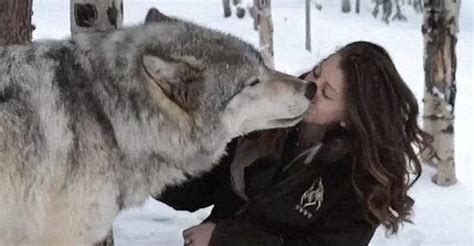 女子与野狼亲密接吻引热议 网友：好想成为那个狼(图)