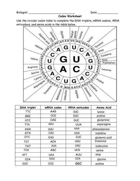 Image result for Codon Chart Practice