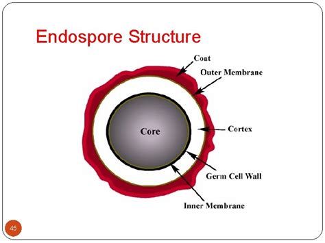 Microbiology 的图像结果
