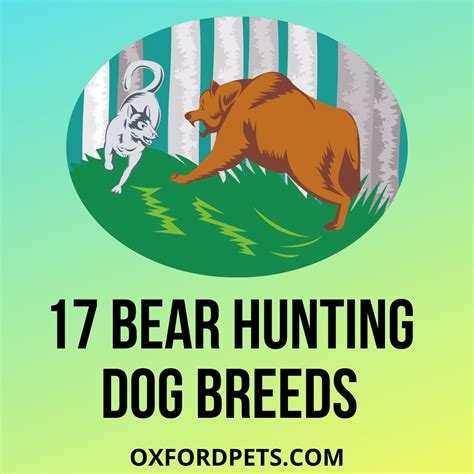 17 Bear Hunting Dog Breeds To Keep Bears Away - Oxford Pets
