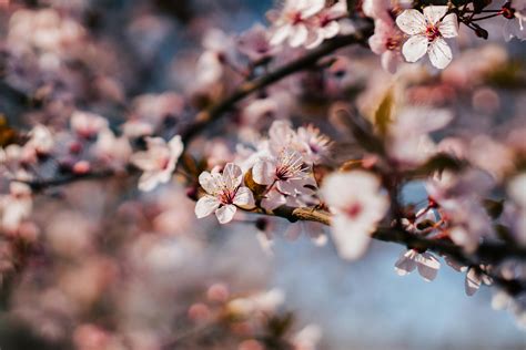 Image result for Rectangular Camera Lens Filter