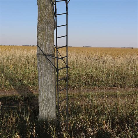 Big Game Warrior Dxt Ladder Stand 20″ Wide X 13″ Deep, One Piece ...