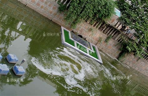 河道排口治理方式（二）：排污点局部强化生物过滤槽|>>排口治理|上海欧保环境:021-51388268