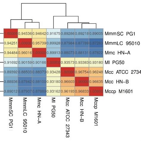 Image result for Anemai Algorithm