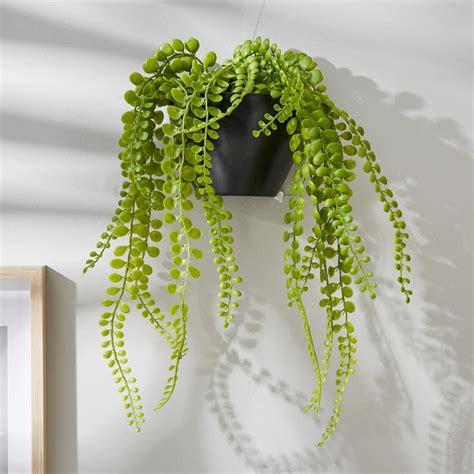 Buy Gloria Artificial Hanging Creepers in Pot from Home Centre at just ...
