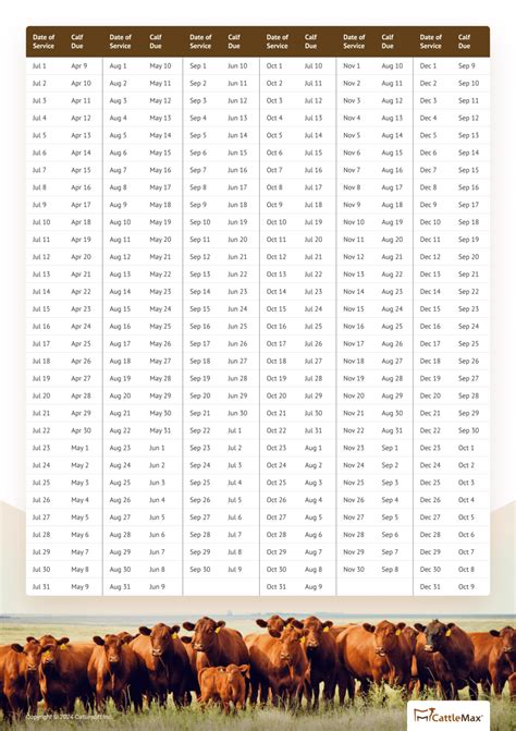 Cattle Gestation Calculator