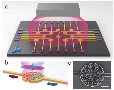 Application of VCSEL in Bio-Sensing Atomic Magnetometers