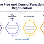 Functional Structure Example CIPD 的图像结果