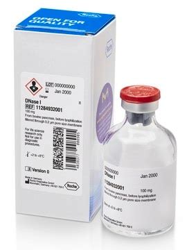 DNase I,grade II, from bovine pancreas