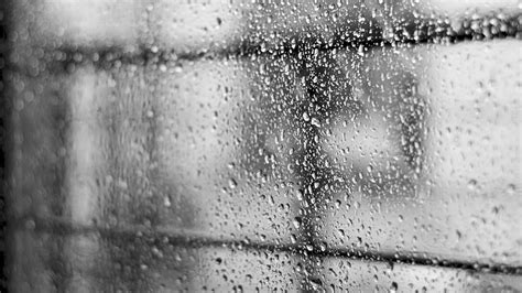 Video Background 的图像结果