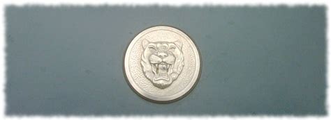 Special cars – 503: Service Unavailable