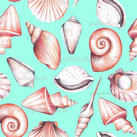 Image result for Repeat Pattern Drawingshells