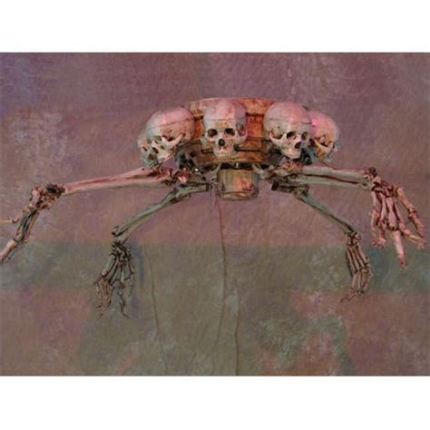 Image result for Ceiling Skeleton