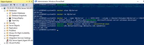 Image result for Install MS SQL Express Docker Windows