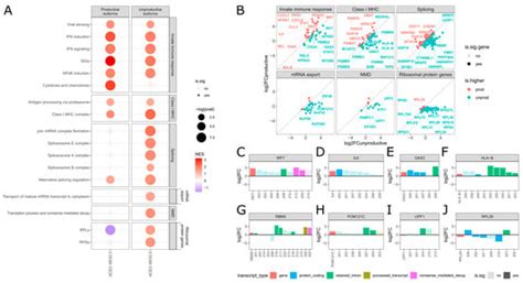 SARS-CoV-2 Selectively Induces the Expression of Unproductive Splicing ...